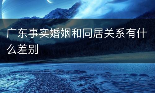 广东事实婚姻和同居关系有什么差别