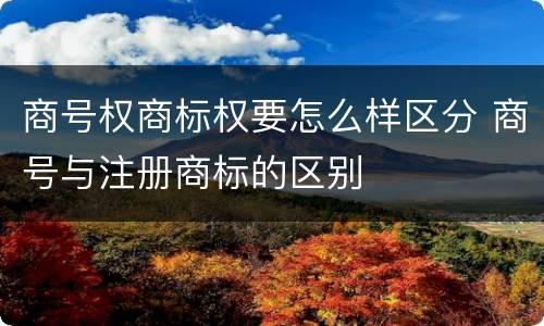 商号权商标权要怎么样区分 商号与注册商标的区别