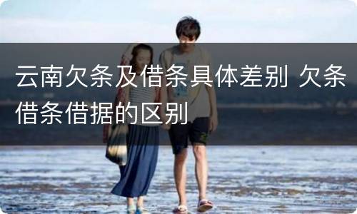 云南欠条及借条具体差别 欠条借条借据的区别