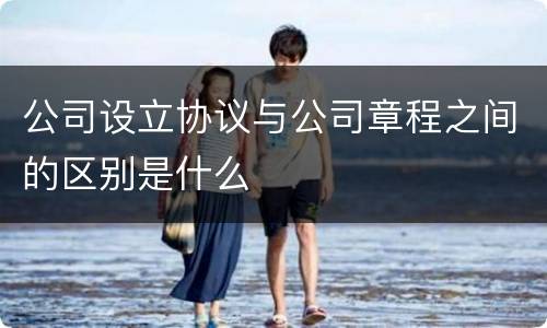 公司设立协议与公司章程之间的区别是什么