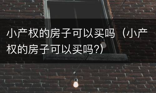 小产权的房子可以买吗（小产权的房子可以买吗?）