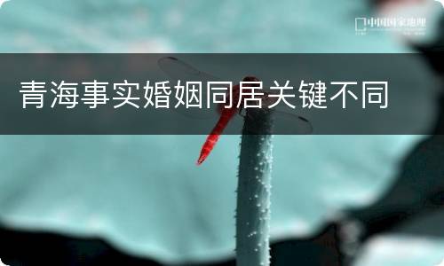青海事实婚姻同居关键不同