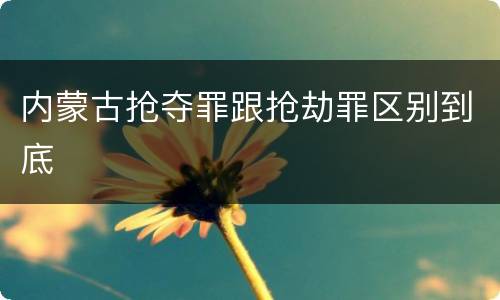 内蒙古抢夺罪跟抢劫罪区别到底