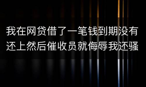 我在网贷借了一笔钱到期没有还上然后催收员就侮辱我还骚扰我朋友圈