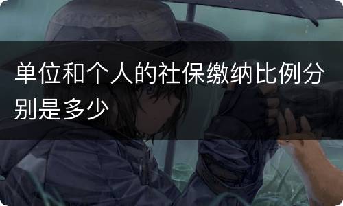 单位和个人的社保缴纳比例分别是多少