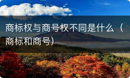 商标权与商号权不同是什么（商标和商号）