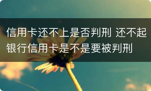 信用卡还不上是否判刑 还不起银行信用卡是不是要被判刑