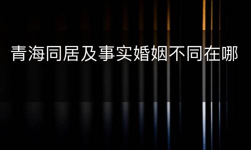青海同居及事实婚姻不同在哪