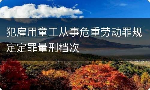 犯雇用童工从事危重劳动罪规定定罪量刑档次