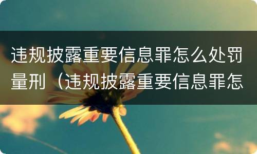 违规披露重要信息罪怎么处罚量刑（违规披露重要信息罪怎么处罚量刑多少）