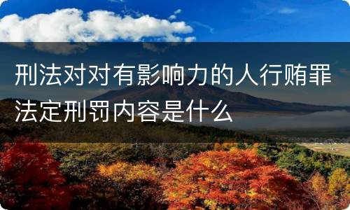 刑法对对有影响力的人行贿罪法定刑罚内容是什么