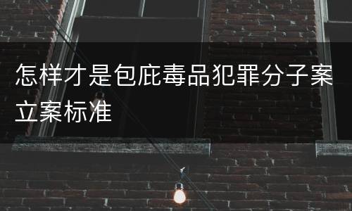 怎样才是包庇毒品犯罪分子案立案标准