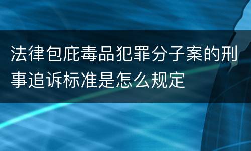 法律包庇毒品犯罪分子案的刑事追诉标准是怎么规定
