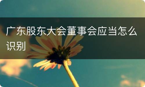 广东股东大会董事会应当怎么识别