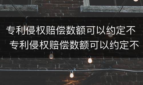 专利侵权赔偿数额可以约定不 专利侵权赔偿数额可以约定不执行吗