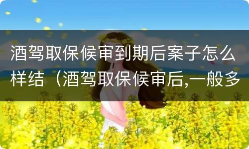 酒驾取保候审到期后案子怎么样结（酒驾取保候审后,一般多久处理啊!）