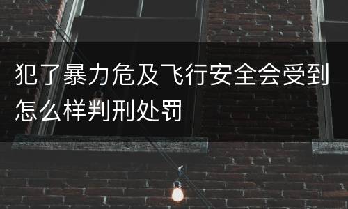 犯了暴力危及飞行安全会受到怎么样判刑处罚