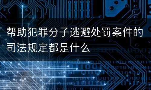 帮助犯罪分子逃避处罚案件的司法规定都是什么