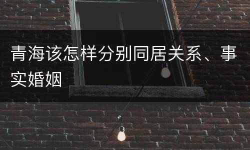 青海该怎样分别同居关系、事实婚姻