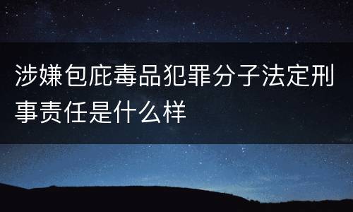 涉嫌包庇毒品犯罪分子法定刑事责任是什么样