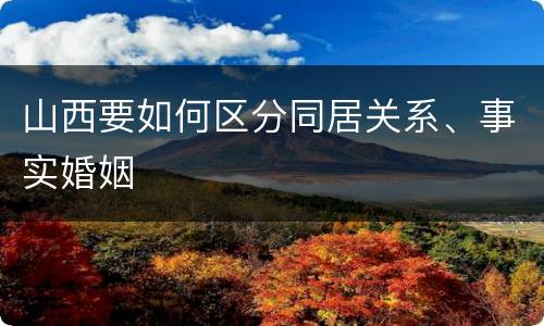 山西要如何区分同居关系、事实婚姻