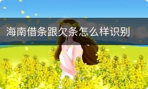 海南借条跟欠条怎么样识别