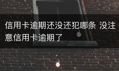 信用卡逾期还没还犯哪条 没注意信用卡逾期了