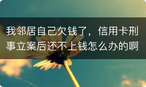 我邻居自己欠钱了，信用卡刑事立案后还不上钱怎么办的啊