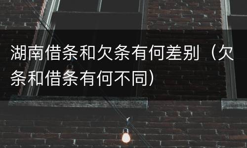 湖南借条和欠条有何差别（欠条和借条有何不同）