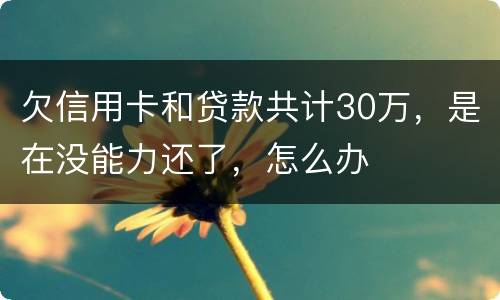 欠信用卡和贷款共计30万，是在没能力还了，怎么办