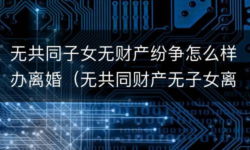 无共同子女无财产纷争怎么样办离婚（无共同财产无子女离婚需要什么）
