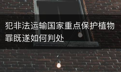 犯非法运输国家重点保护植物罪既遂如何判处