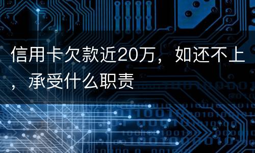 信用卡欠款近20万，如还不上，承受什么职责