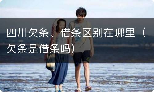 四川欠条、借条区别在哪里（欠条是借条吗）