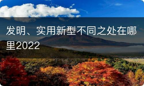 发明、实用新型不同之处在哪里2022