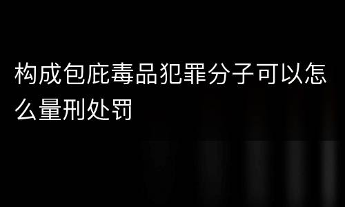 构成包庇毒品犯罪分子可以怎么量刑处罚