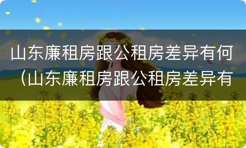 山东廉租房跟公租房差异有何（山东廉租房跟公租房差异有何区别）