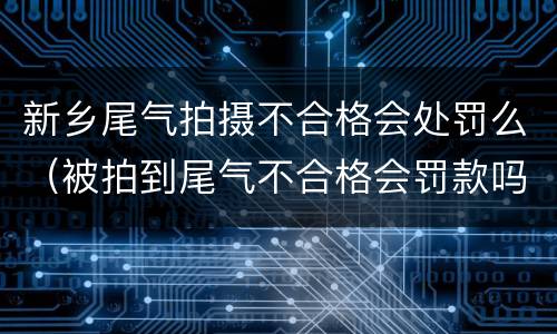 新乡尾气拍摄不合格会处罚么（被拍到尾气不合格会罚款吗）