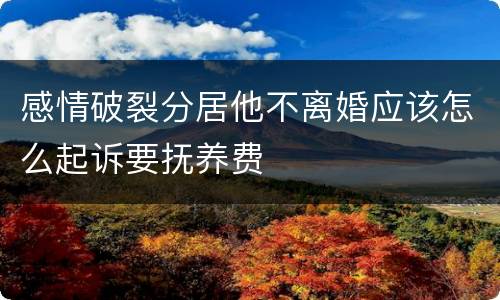 感情破裂分居他不离婚应该怎么起诉要抚养费