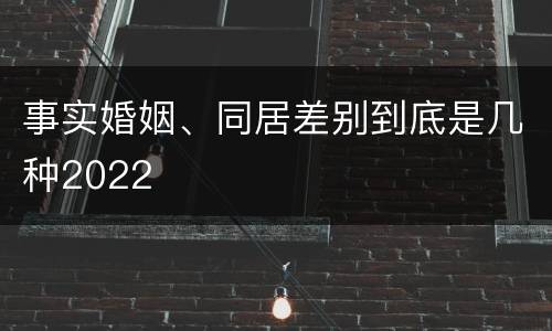 事实婚姻、同居差别到底是几种2022