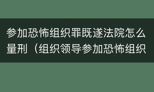 参加恐怖组织罪既遂法院怎么量刑（组织领导参加恐怖组织罪规定在我国刑法）
