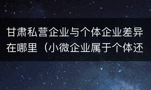 甘肃私营企业与个体企业差异在哪里（小微企业属于个体还是私营）