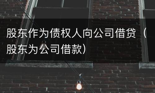 股东作为债权人向公司借贷（股东为公司借款）