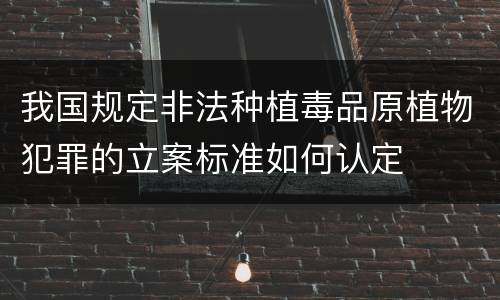 我国规定非法种植毒品原植物犯罪的立案标准如何认定