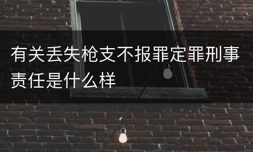 有关丢失枪支不报罪定罪刑事责任是什么样