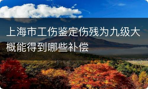 上海市工伤鉴定伤残为九级大概能得到哪些补偿