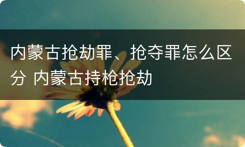 内蒙古抢劫罪、抢夺罪怎么区分 内蒙古持枪抢劫