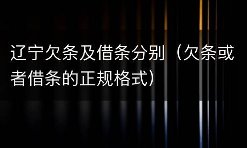 辽宁欠条及借条分别（欠条或者借条的正规格式）