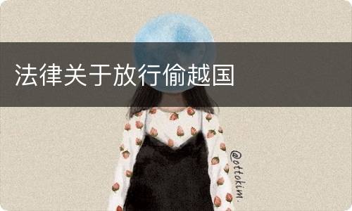 法律关于放行偷越国