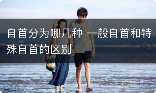 自首分为哪几种 一般自首和特殊自首的区别